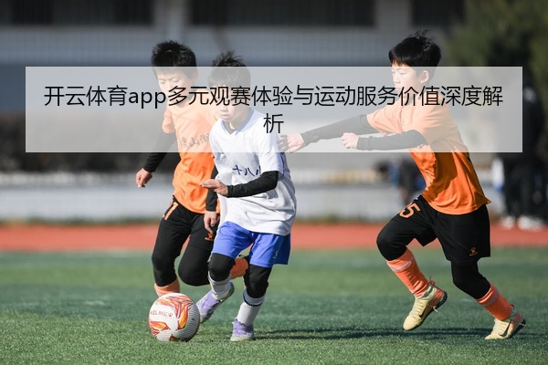 开云体育app多元观赛体验与运动服务价值深度解析